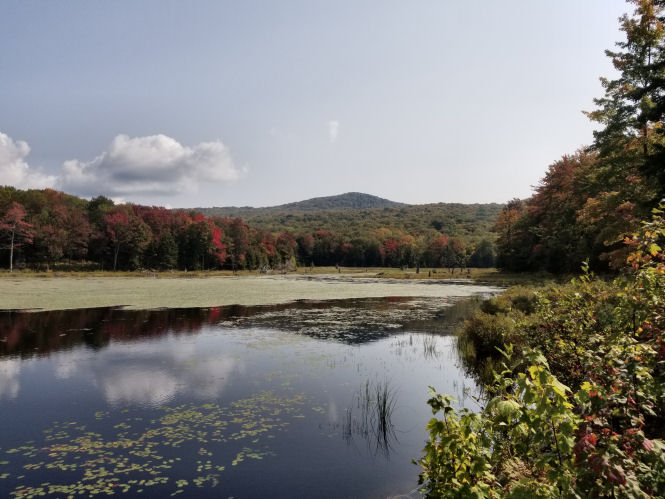Abby Pond Ripton, VT